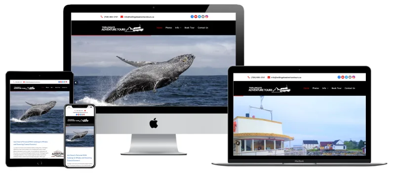 Twillingate Adventure Tours website